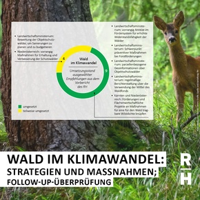 Grafik und Reh im Wald - Copyright: Foto: iStock.com/Christian Peters; Grafik: Quelle und Darstellung: RH