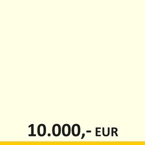 Vision Österreich: Spenden 10.000 Euro - Copyright: Rechnungshof Österreich