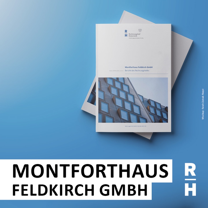 Mockup: Farah Zainab Naqvi Bericht des Rechnungshofes - Copyright: Mockup: Farah Zainab Naqvi