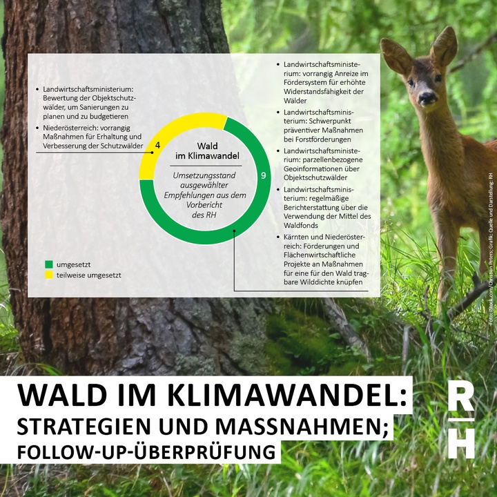 Grafik und Reh im Wald - Copyright: Foto: iStock.com/Christian Peters; Grafik: Quelle und Darstellung: RH