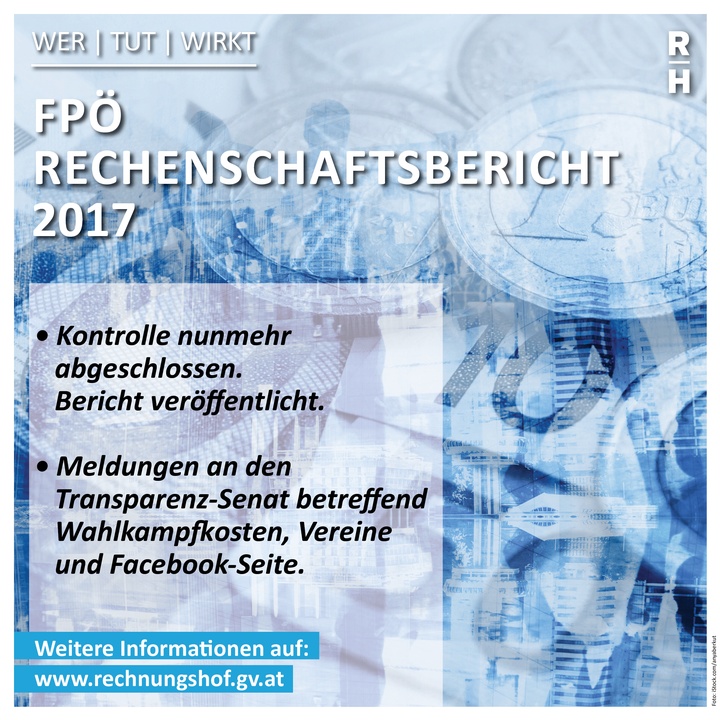 Schaubild Rechenschaftsbericht FPÖ 2017 - Copyright: